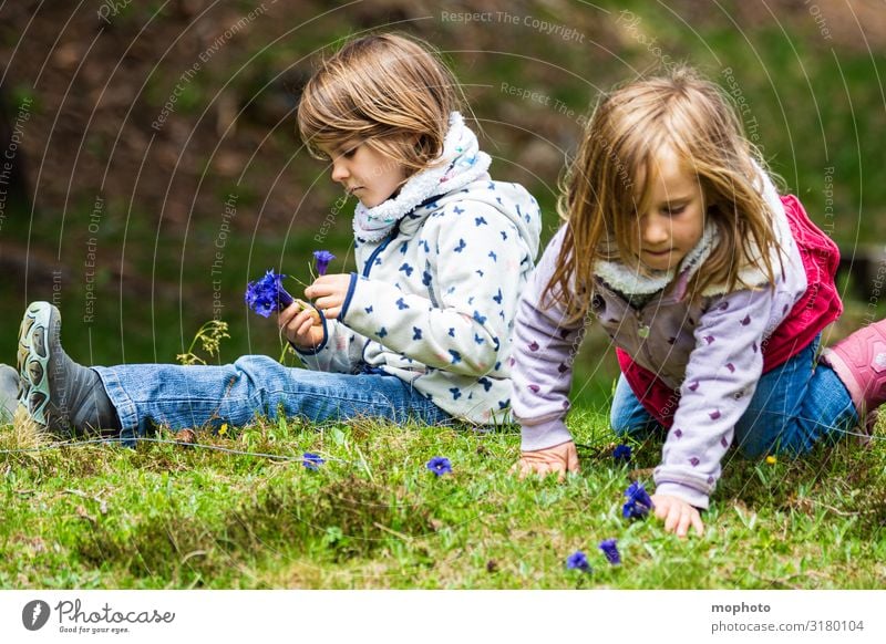 Pick gentian Vacation & Travel Trip Adventure Mountain Feminine Girl Brothers and sisters Sister Friendship Infancy 2 Human being 3 - 8 years Child Nature Plant
