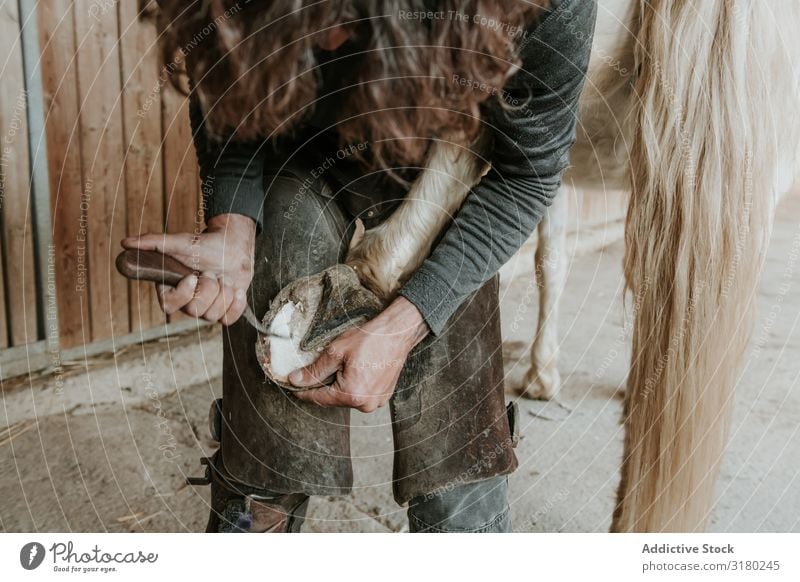 Man shoeing horse near stable Blacksmith Horseshoe Stable Ranch Hammer putting on Work and employment Hoof Tool Iron Animal farrier Equipment Profession skill