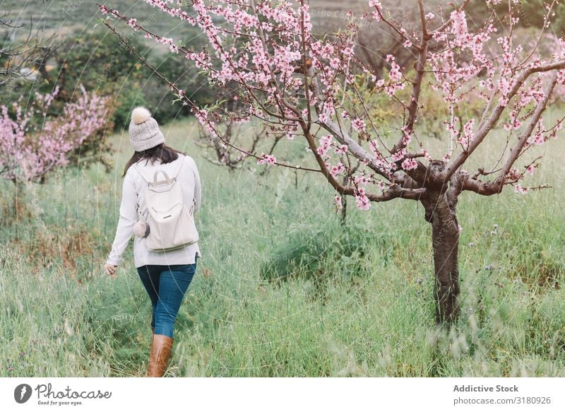 Anonymous woman walking near blooming tree Woman Tree Flower Walking Landscape Spring Vacation & Travel Nature Leisure and hobbies Lifestyle Trip Hiking