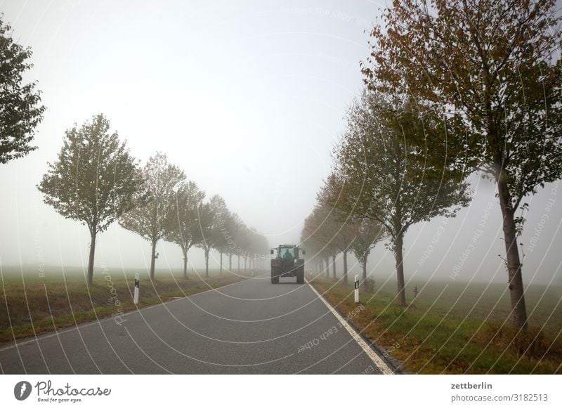 Country road with tractor Haze Direct Right ahead Autumn Autumnal colours Landscape Deserted Morning Fog Perspective Far-off places Sun Street Copy Space