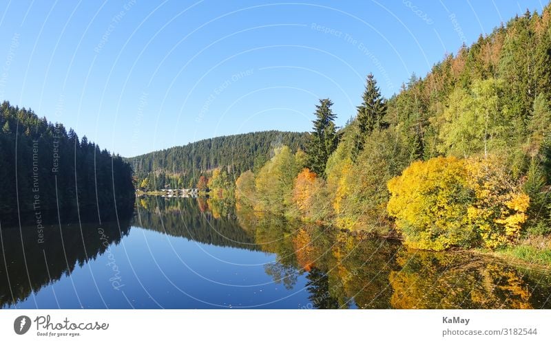 Okerstausee in autumn Nature Landscape Water Autumn Climate change Tree Leaf Forest Mountain Harz Lake Oker reservoir Reservoir Lower Saxony Germany Europe Blue