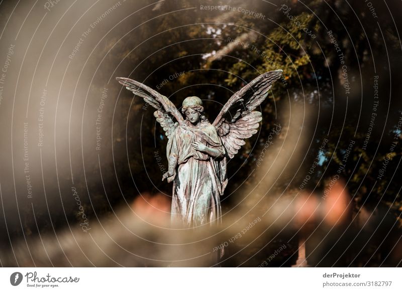 Angel at cemetery Tourism Sightseeing City trip Environment Beautiful weather Tree Park Tourist Attraction Landmark Monument Esthetic Exceptional Dark Sadness