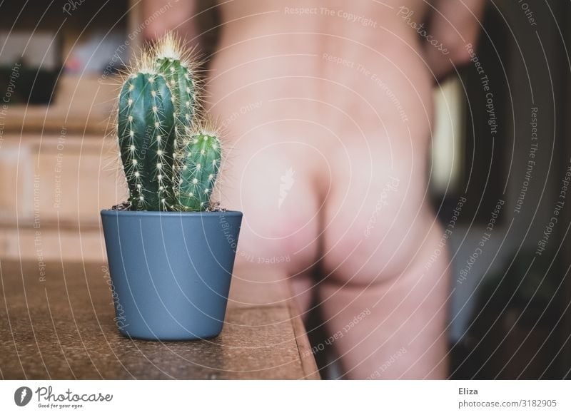 Naked man's butt with cactus Human being Masculine Back Bottom Threat Provocative Cactus Living or residing Illness Point Green Excitement Erection Sexuality