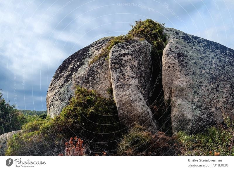 Monolith in Sardinia Geology Aggius Rock Stone Tempio Pausania Landscape granite landscape Valle della Luna Skittle island mountain Mountain Cone gallura