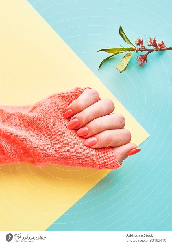 Crop female hand with pink manicure Manicure Style Colour Hand Sweater Peach tender Spring Branch Twig Fashion Modern Bright nails Beauty Photography Polish