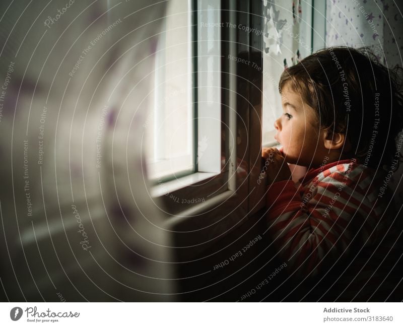 kid peering through window Window Child Small Day Looking Storm Home Observe Human being Rain Exterior shot Loneliness House (Residential Structure)