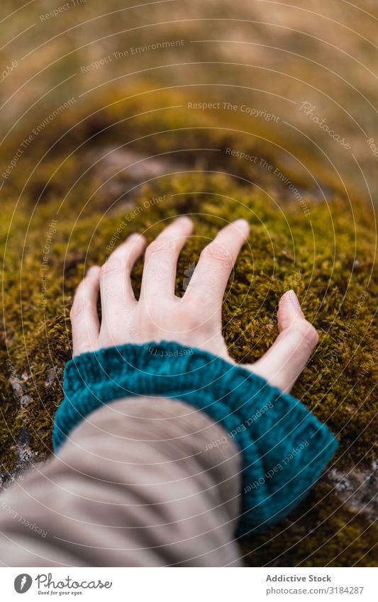 Woman hand on moss Hand Touch Moss Stone Rural Freedom Vacation & Travel Adventure Nature Rest Trip Leisure and hobbies Lifestyle Tourist Wild Environment Plant