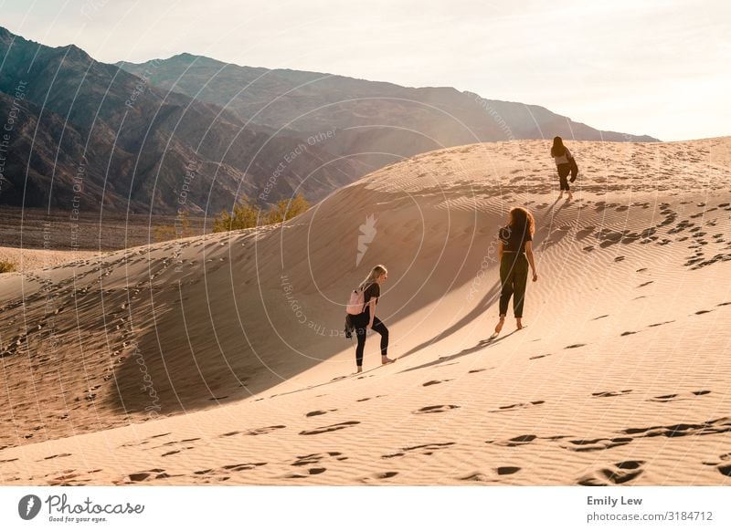 Sand Dunes in Death Valley Sand dunes footprints sand desert travel wanderlust hikers hiking explore sunny day Landscape Vacation & Travel