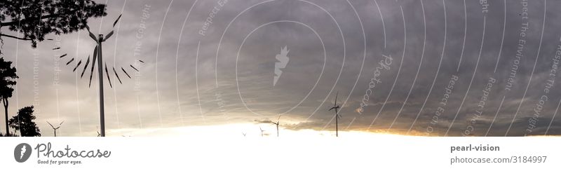 wind time Wind energy plant Environment Nature Clouds Climate change Weather Clock face Time Colour photo Exterior shot Copy Space right Copy Space top Evening