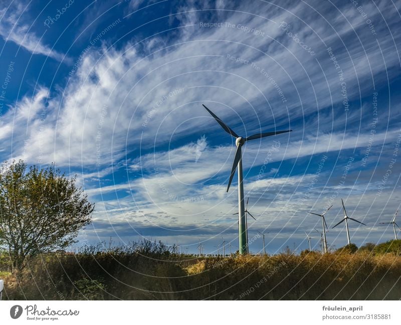 Wind turbines with fluffy clouds Pinwheel wind farm Sky Blue Clouds Clouds in the sky Energy industry Renewable energy Environmental protection Electricity