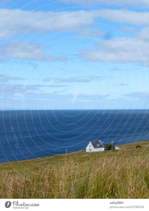 That house in the middle of nowhere... Nature Summer Beautiful weather Meadow Hill Coast Ocean Atlantic Ocean Scotland House (Residential Structure)