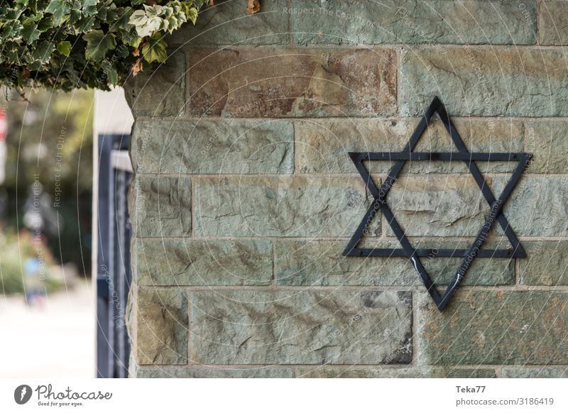 The Jewish cemetery Sign Ornament Signs and labeling Signage Warning sign Senior citizen Judaism Star of David Jews Cemetery Colour photo Exterior shot