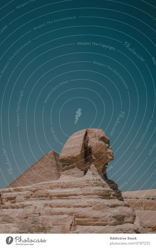 Great Sphinx against cloudless sky Giza Cairo Egypt Sky Beautiful weather Blue Sunbeam Day heritage Famous building Damage Desert Old Ancient Landmark Monument