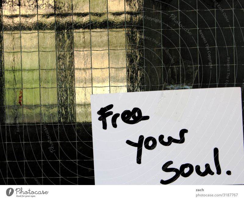 Free your soul. Town Capital city Downtown Facade Window Sign Characters Signs and labeling Happy Contentment Joie de vivre (Vitality) Optimism Brave Trust