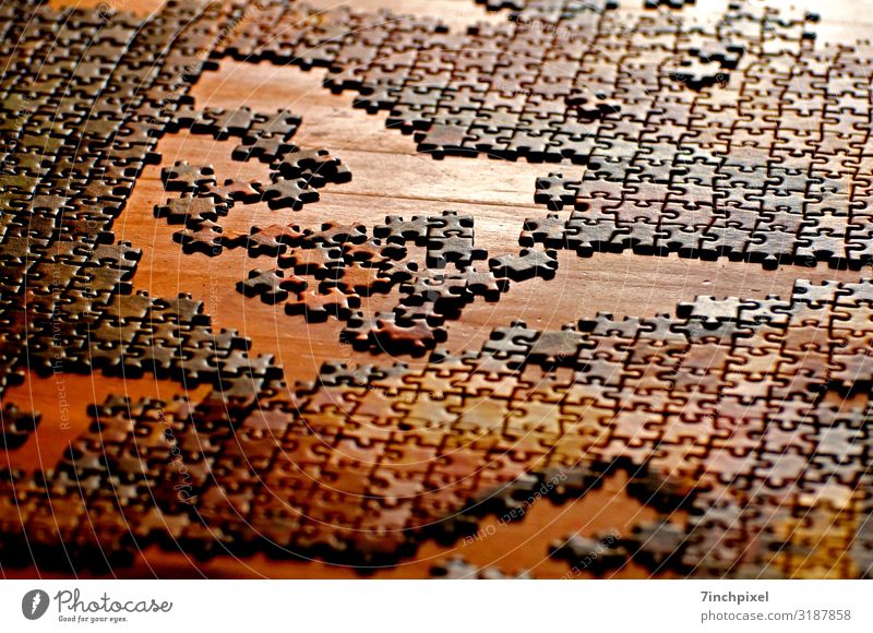 Jigsaw Leisure and hobbies Playing Puzzle Brown Yellow Gold Joy Colour photo Multicoloured Interior shot Deserted Artificial light Shallow depth of field