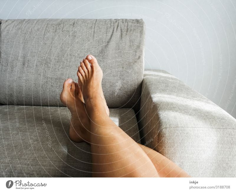 barefoot Lifestyle Beautiful Well-being Contentment Relaxation Calm Leisure and hobbies Living or residing Flat (apartment) Sofa Woman Adults Legs Feet