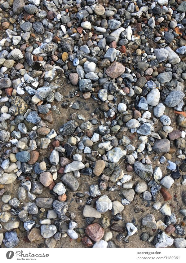 Ouch! Ouch! Ouch! Pebble Gravel beach Gravel pit stones Beach Pattern Graveled Gravel bed variegated Minimalistic Sand prickly Stony stony road Exterior shot