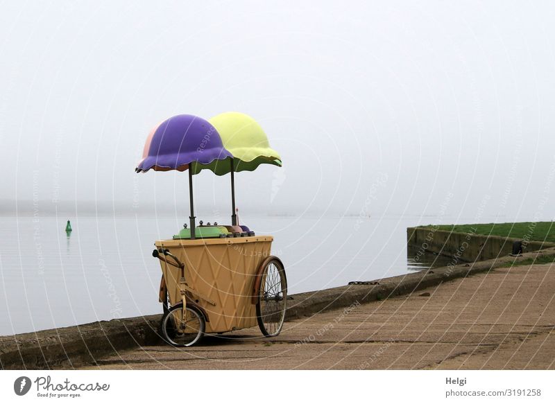 old nostalgic ice cart stands on a footbridge at the water in front of a foggy background Environment Nature Landscape Water Spring Fog Szczecin Lagoon combinke