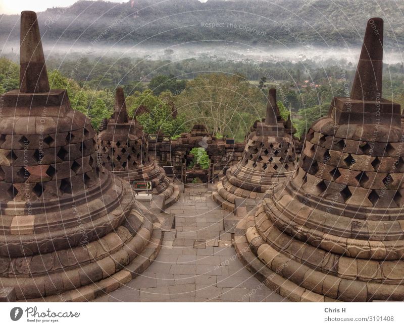 Borobodur Yogyakarta Indonesia Asia Dome Castle Ruin Manmade structures Building Architecture Wall (barrier) Wall (building) Tourist Attraction Landmark