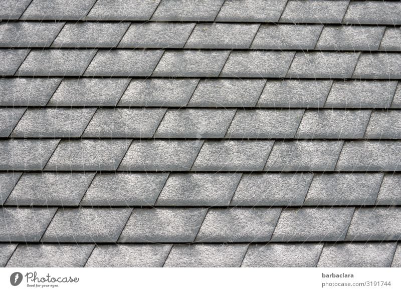 snow pattern Winter Snow Roof Roofing tile Line Stripe Gray Black White Design Climate Arrangement Protection Subdued colour Exterior shot Close-up Detail