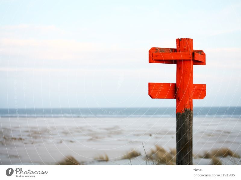 something important Environment Nature Landscape Sky Horizon Coast Beach North Sea Spiekeroog Wood Sign Signs and labeling Signage Warning sign Threat Maritime
