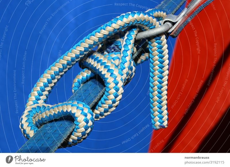 knot Leisure and hobbies Camping Plastic Network Firm Attachment Knot Connection Tent String Colour photo Multicoloured Exterior shot Close-up Detail Deserted