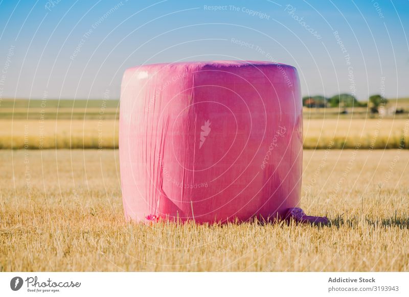 Bales wrapped with pink plastic Agriculture Bale of straw Breasts Cancer Wrap Cereal Landscape Farm Field Gold Grain Harvest Hay Haystack Nature Pink Plastic