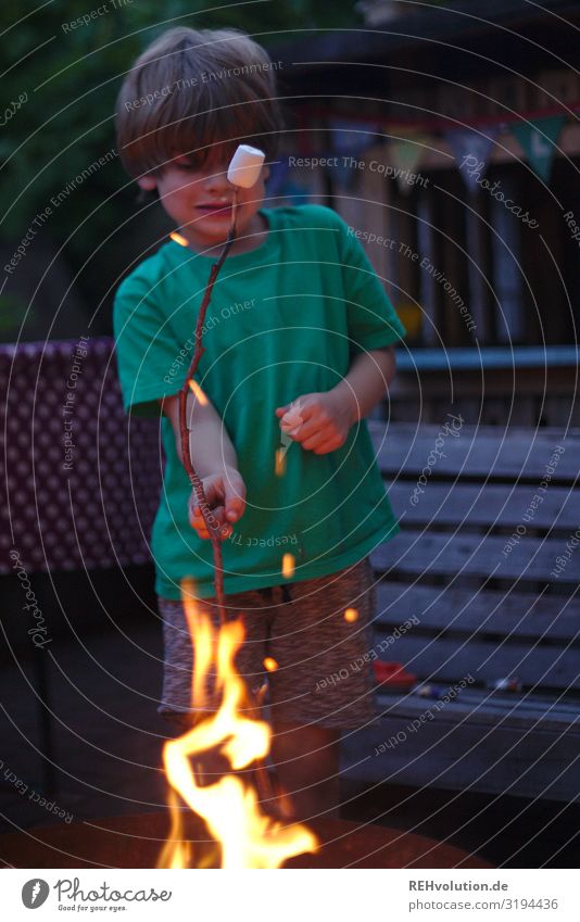 Child with marshmallow by the fire Fire campfire Hot Summer warm blaze ardor T-shirt Boy (child) Infancy Garden Eating Sweet Food Delicious Joy luck fun natural