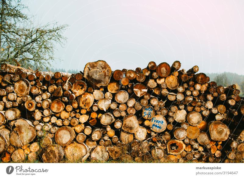 Firewood Forestry Leisure and hobbies Garden Nature Landscape Autumn Plant Tree Agricultural crop Wood Forstwald Raw materials and fuels Harvest Colour photo