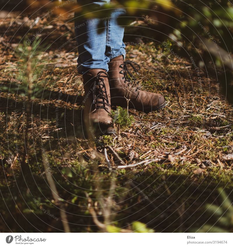 Shoes Human being Feet 1 Stand Spring fever Power Attentive Calm Life Forest Boots Hiking boots Nature Meadow Undergrowth Unwavering Love of nature Colour photo
