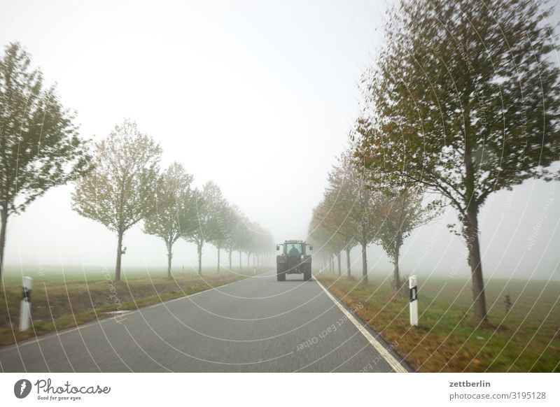 Country road in the fog Haze Direct Right ahead Autumn Autumnal colours Landscape Deserted Morning Fog Perspective Far-off places Sun Street Copy Space Tractor
