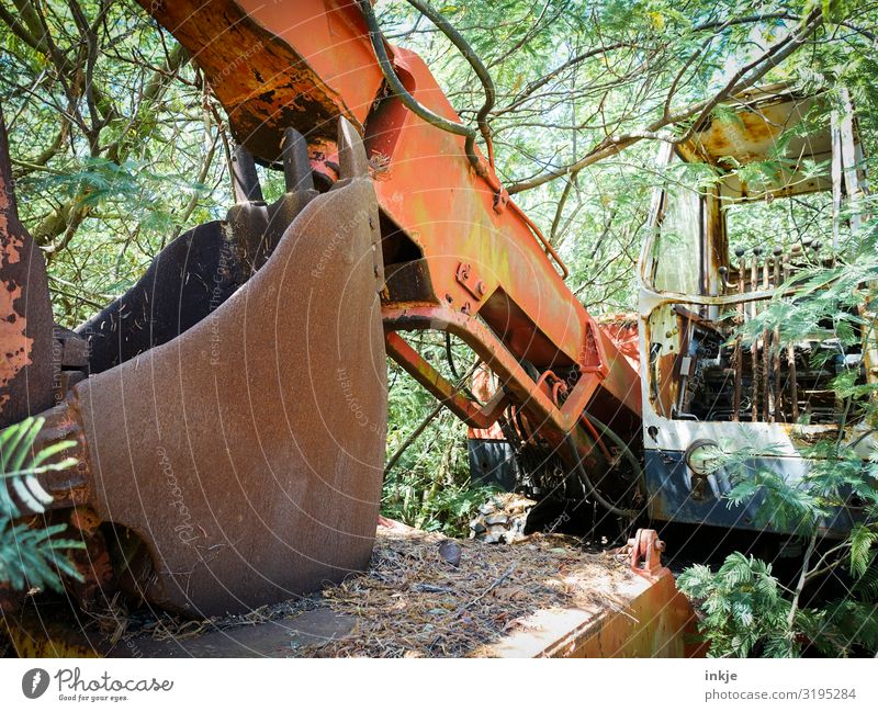 bush dredger Work and employment Profession Craftsperson Construction site Nature Summer Tree Bushes Forest Corsica Deserted Excavator Excavator shovel Old