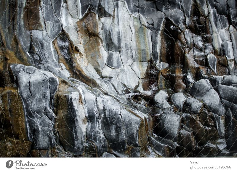 stone-chiselled Nature Elements Rock Wet Gray Orange Smoothness Stone Rock formation Canyon Colour photo Subdued colour Exterior shot Detail Day
