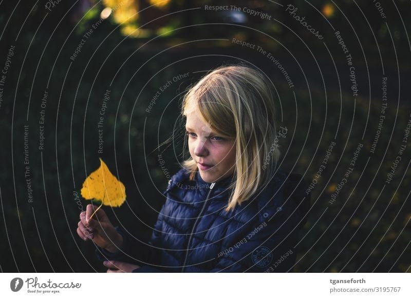Girl with autumn leaves in her hand Child Infancy 1 Human being 8 - 13 years Nature Autumn Plant Leaf Observe Smiling Looking Blonde Simple Friendliness