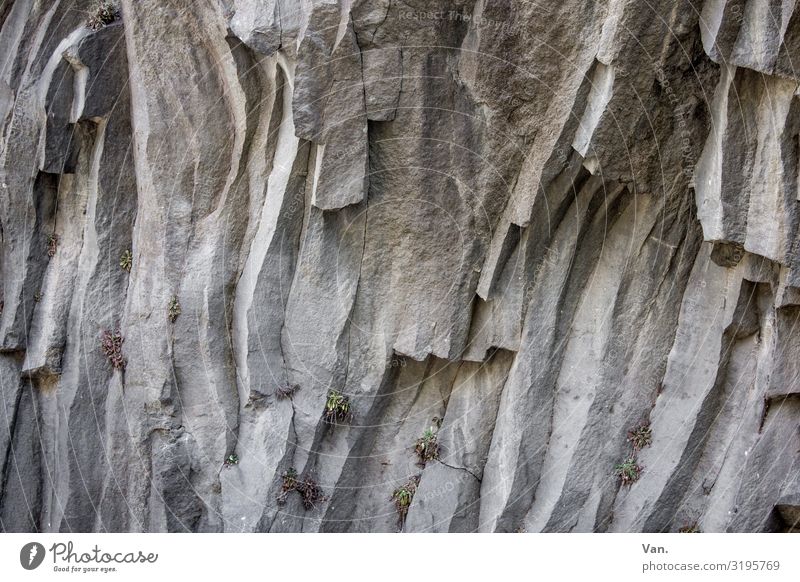 Basalt Columns Stone Rock rock formation basalt columns Wall (building) Nature edge plants