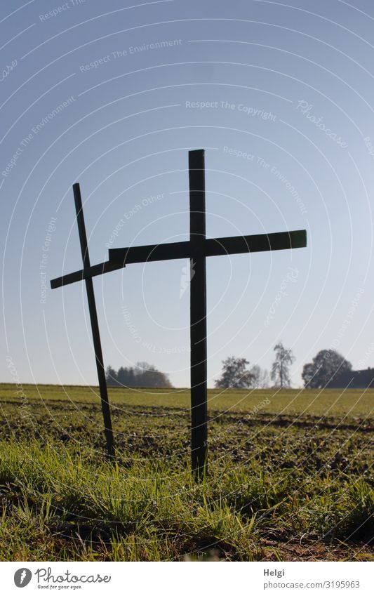 two wooden crosses stand on a field as a silent protest of the farmers Environment Nature Landscape Plant Sky Beautiful weather Grass Agricultural crop Field