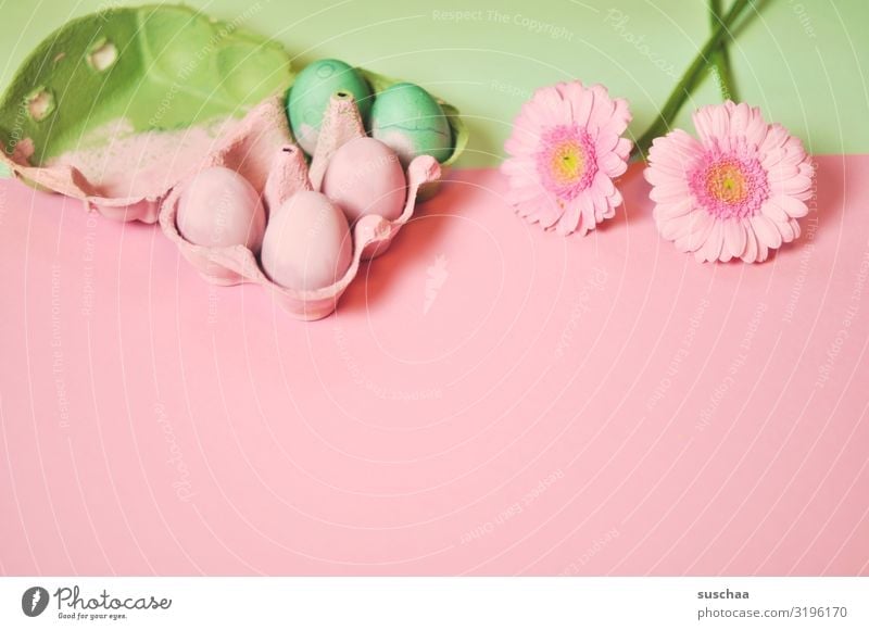 painted eggs Easter Easter egg Blossom Spring Green Pink Flower pink background Copy Space Decoration map Tradition Ritual Style Design Card flatlay Egg