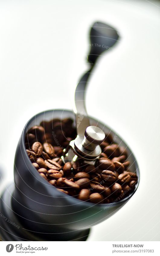 Coffee Bean Images  Free Food & Beverage Photography, HD