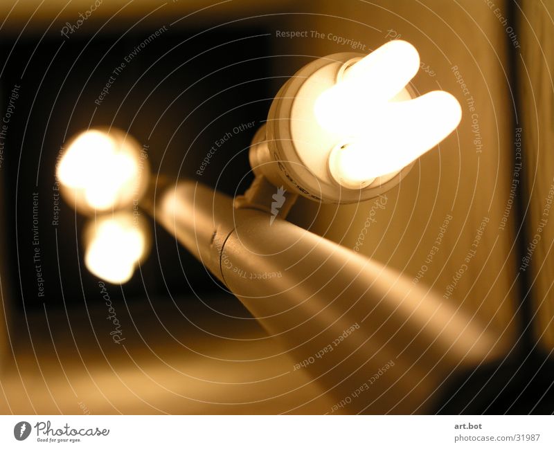 Light - unshielded Lamp Living or residing light bulb Close-up