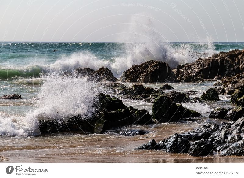 whipping waves on the beach with rocks Vacation & Travel Beach Ocean Nature Landscape Water Rock Waves Coast White crest Trevone Cornwall Maritime Inject Day