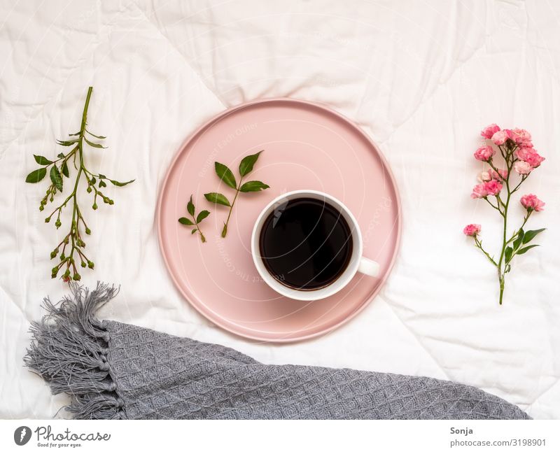Breakfast in bed with coffee Beverage Hot drink Coffee Espresso Plate Cup Lifestyle Well-being Contentment Relaxation Calm Flower Rose Duvet Wool blanket