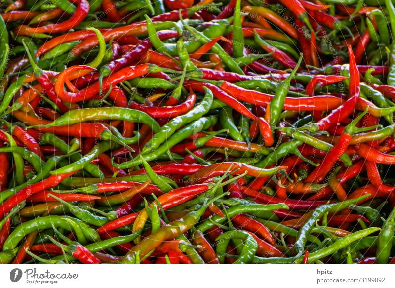 picante Kitchen Plant Agricultural crop Eating Fresh Healthy Delicious Green Red Colour photo Close-up Detail Pattern