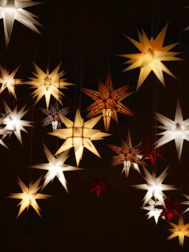 shining advent stars - sidereal hours Christmas & Advent Advent stars Star (Symbol) Christmas decoration Christmas star Christmas fairy lights Illuminate