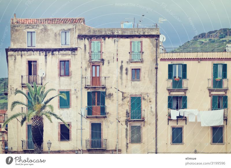 Behind the palm tree Living or residing Palm tree pink Italy Sardinia Small Town Old town House (Residential Structure) Facade Balcony Authentic Simple