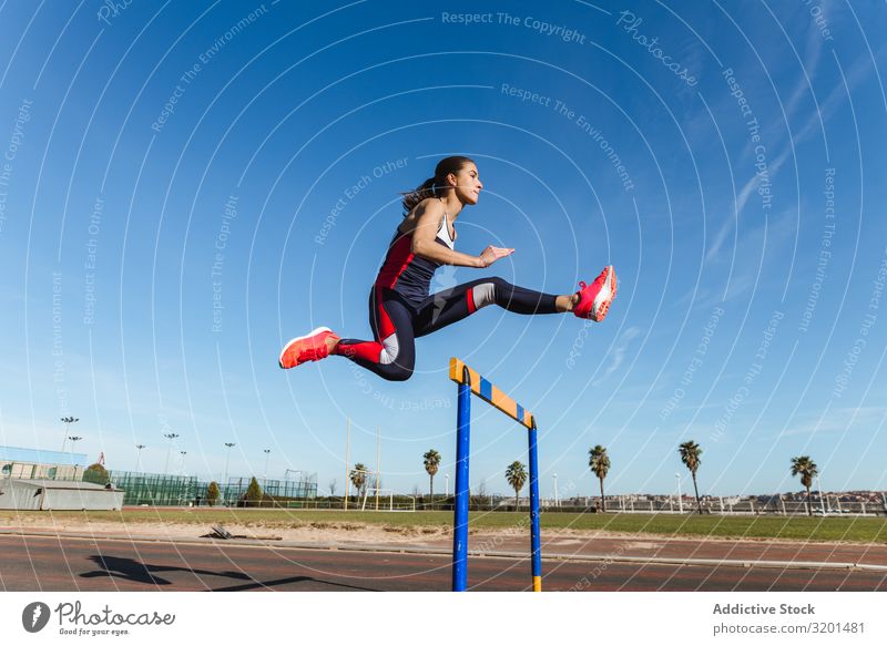 Female athlete hurdling on stadium Woman Hurdle Jump Stadium Sports Track Youth (Young adults) Sportswear Sky Blue Competition Athlete Determination motivation