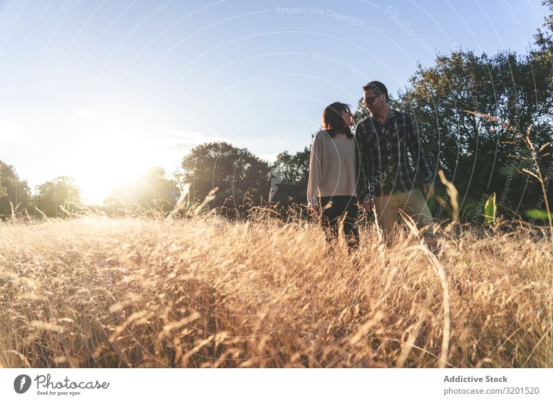 Loving couple walking in golden rural field Couple Sunset Field Rural Gold Love Together To go for a walk romantic Beautiful Grass Contentment Relationship