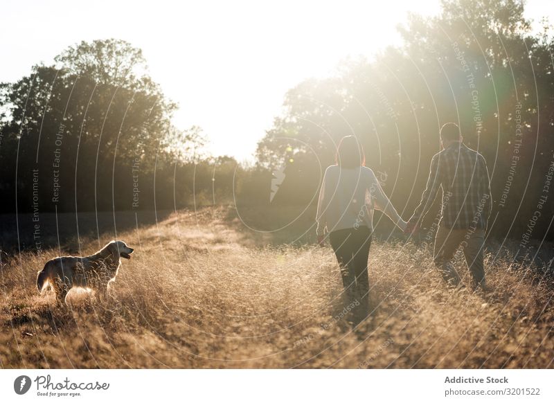 Couple with dog in countryside at sunset Landscape Sunset Dog Field To go for a walk Harmonious Together Domestic Gold Rural Relationship romantic Countries