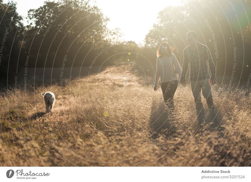 Couple with dog in countryside at sunset Landscape Sunset Dog Field To go for a walk Harmonious Together Domestic Gold Rural Relationship romantic Countries