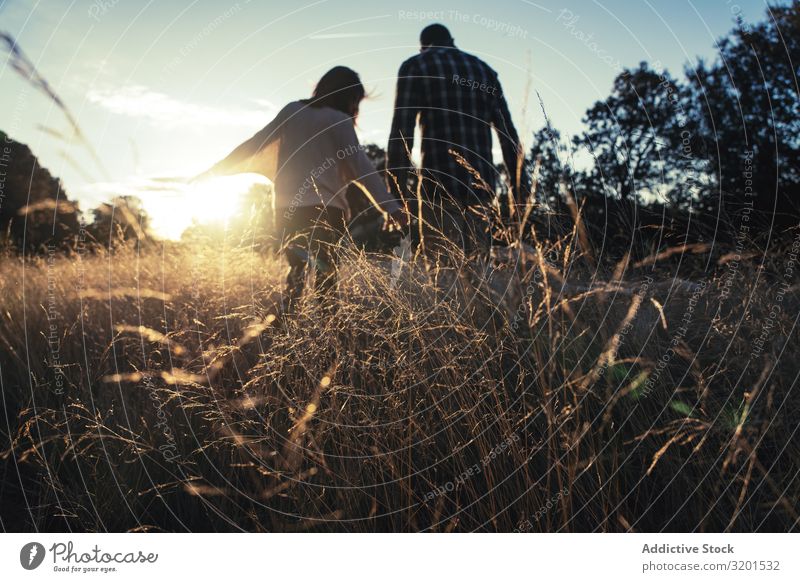 Loving couple walking in golden rural field Couple Sunset Field Rural Gold Love Together To go for a walk romantic Beautiful Grass Contentment Relationship