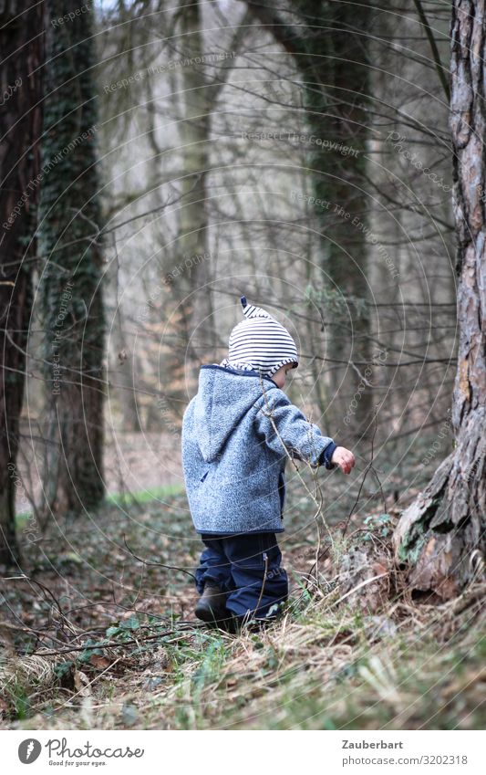 Boy in the forest Trip Child Boy (child) Infancy 1 Human being 1 - 3 years Toddler Tree Forest Pants Jacket Cap Hooded (clothing) Discover Playing Small Blue